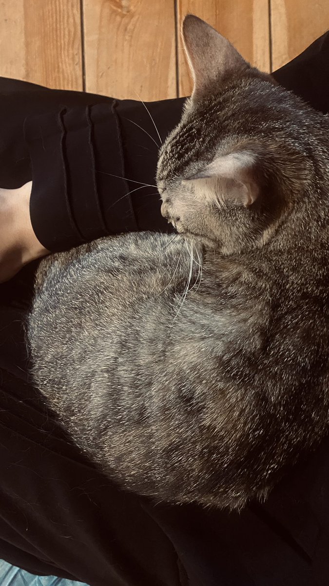 FSG1_'s tweet photo. - Warm moments.. https://t.co/3mJHvCvl4I