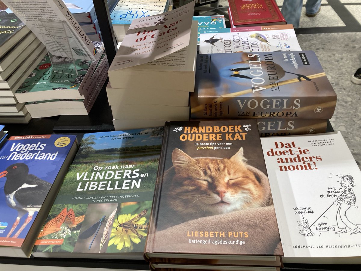 handboek oudere kat: een must have voor iedere kattenbezitter 😻Ben trots op het feit dat ik mocht proeflezen en mijn tips doorgeven aan Liesbeth. Te koop bij Broese maar ook bij ons op de praktijk!