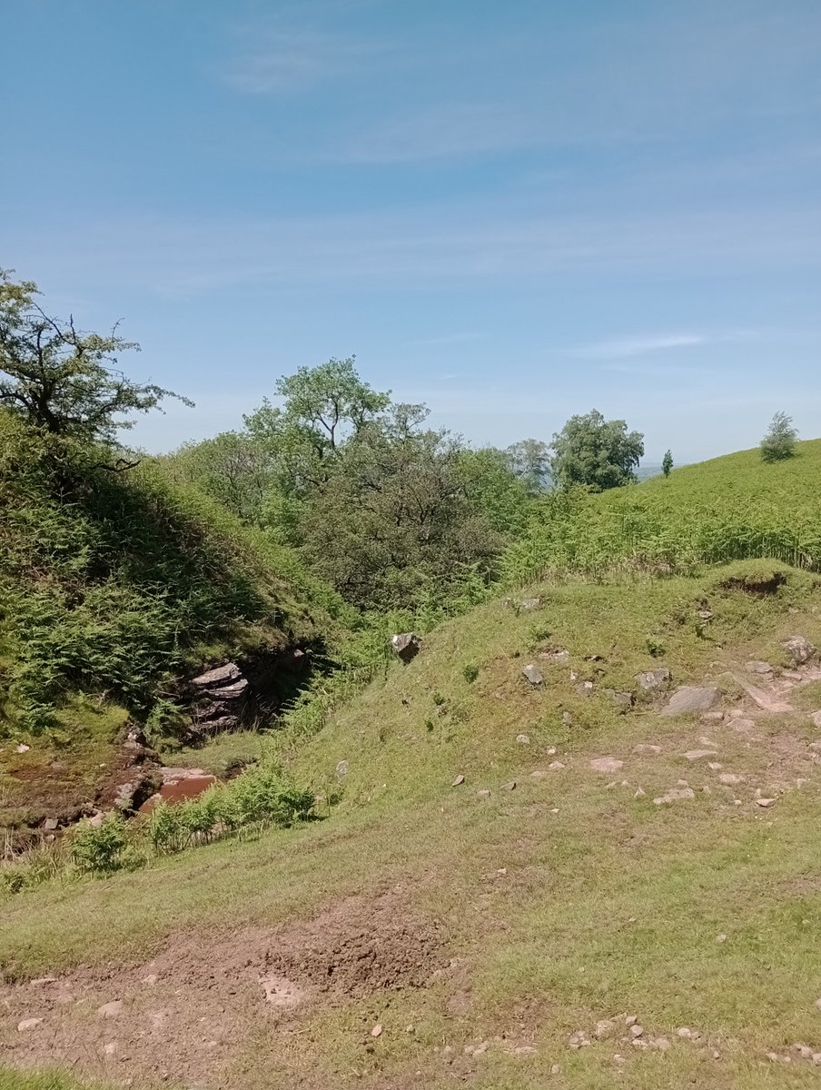 b_dmintl's tweet photo. Only 8 miles, but all uphill for the first 4.5!!! Really hard work, but I did it and lived to tell the tale. 
#walking #wales https://t.co/WEajBLE74H