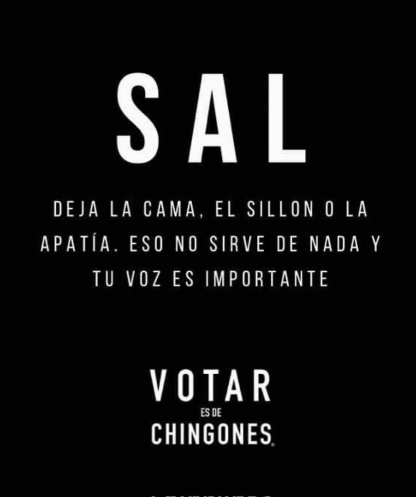 Spanish Wine Quote - Etsy, image size:857x1024