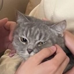 enjoyythethyme's tweet photo. 🤲🏻 https://t.co/A1IOubAU4R