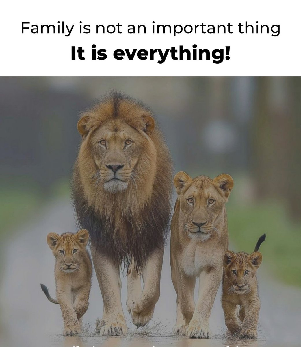 raina_ashfaq's tweet photo. ...... everything means every thing.... https://t.co/4k5RcXnm7t