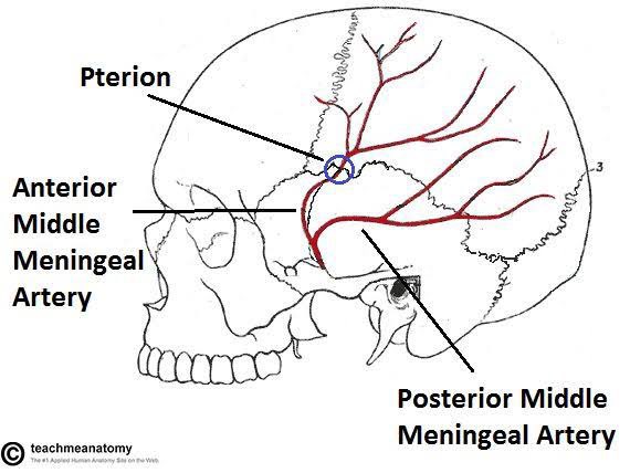 Ahmed Muharraq (@ahmadalmoharrg) on Twitter photo 