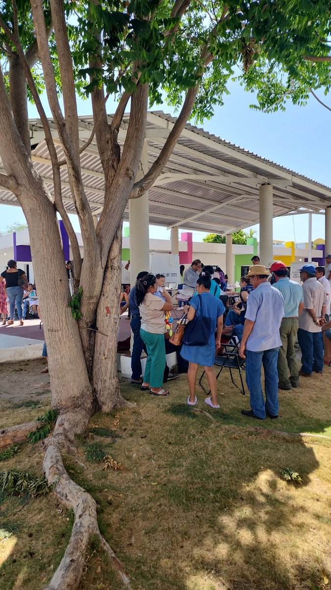 eu3011's tweet photo. @Claudiashein  casilla colonia tecolutla, Ciudad del Carmen, Campeche. Son las 9:23 y aun no podemos votar. Calle 39 x 34. Y los representantes groseramente contestan que faltan 2 horas más para empezar. #Presidente #votaciones2024 https://t.co/7ll4EIwPo2