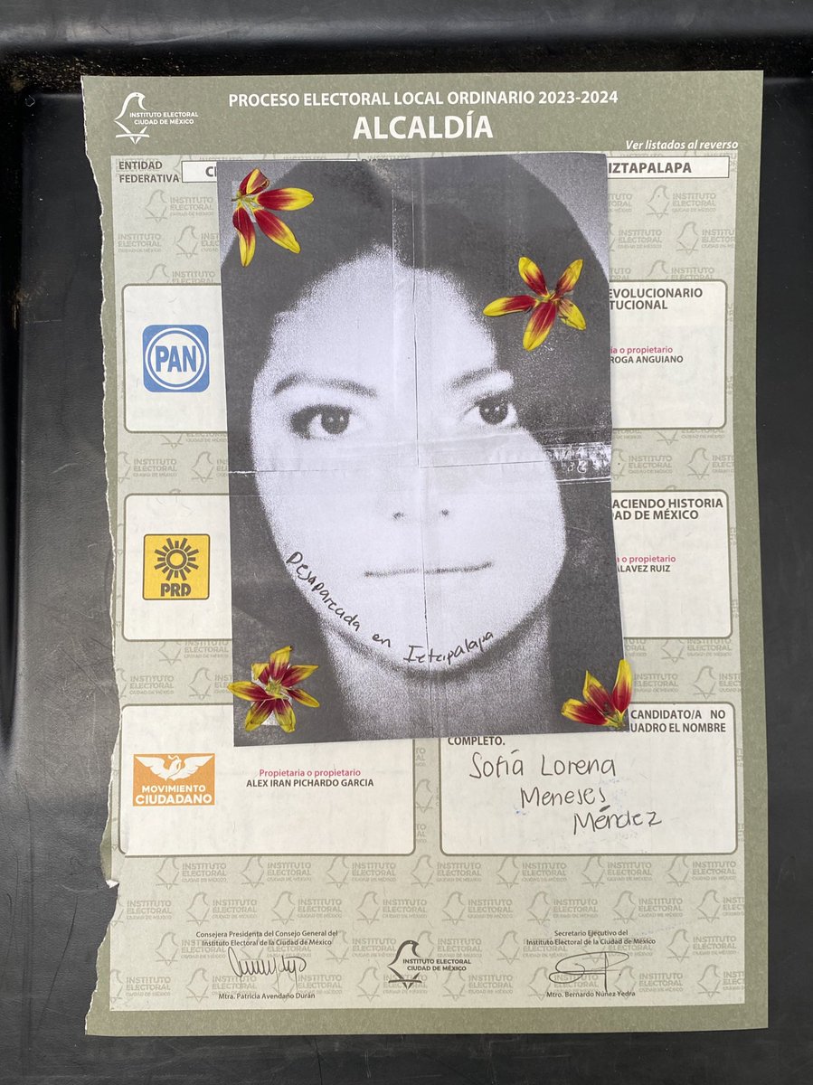 gherrale's tweet photo. Yo hoy decidí darle mi voto a Guadalupe Pamela Gallardo Volante, Sofía Lorena Meneses Méndez, Rodrigo Ricardo Rico Fernández, Mariela Vanessa Díaz Valverde, Luis Axel Guzmán Zarate y Josefina Avellaneda Díaz. Todxs desaparecidxs en CDMX. 

#EleccionesMexico2024 https://t.co/37wqv0h6AW