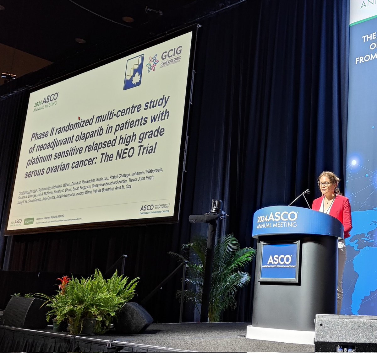 AinhoaMada's tweet photo. Outstanding presentation by @StephanieLheur5 of the #NEO randomized phase II trial assessing the role of neoadjuvant olaparib in PlatS ovarian cancer 
#ASCO24 @pmcancercentre https://t.co/RCam4XwDQY