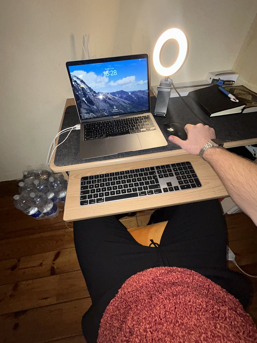 Bolo🐺 tweet media