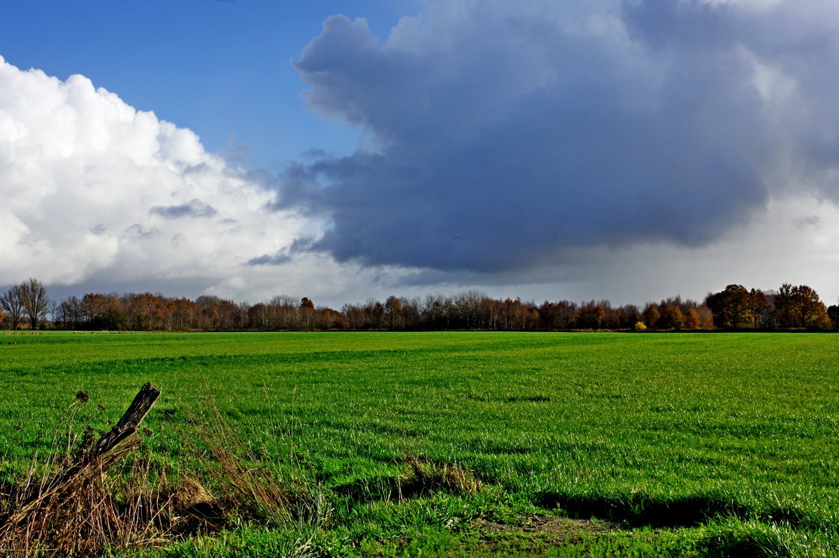 rob_sieben's tweet photo. Somehow the clouds don't go away here either. #Fotos #fotografie #landscapephotography #fotografia #ostfriesland #landscape #Simonswolde #plants #clouds link: https://t.co/B5MyiQJHjF https://t.co/IzlO432bqV