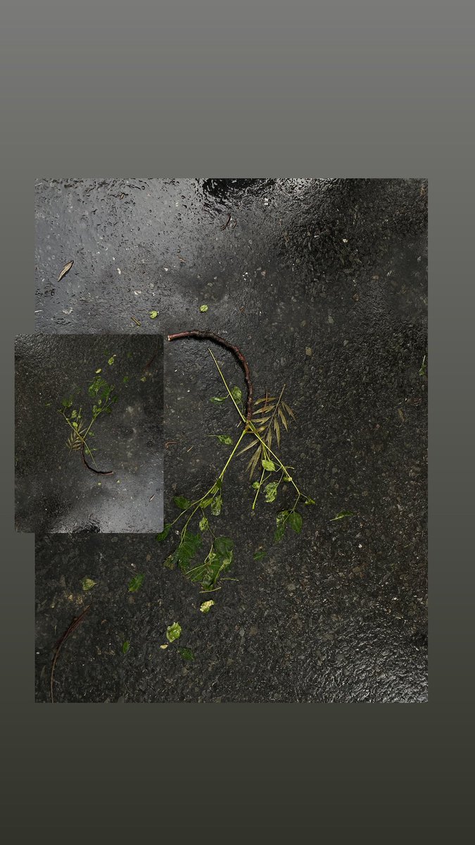 Something i noticed 
Something that I observed