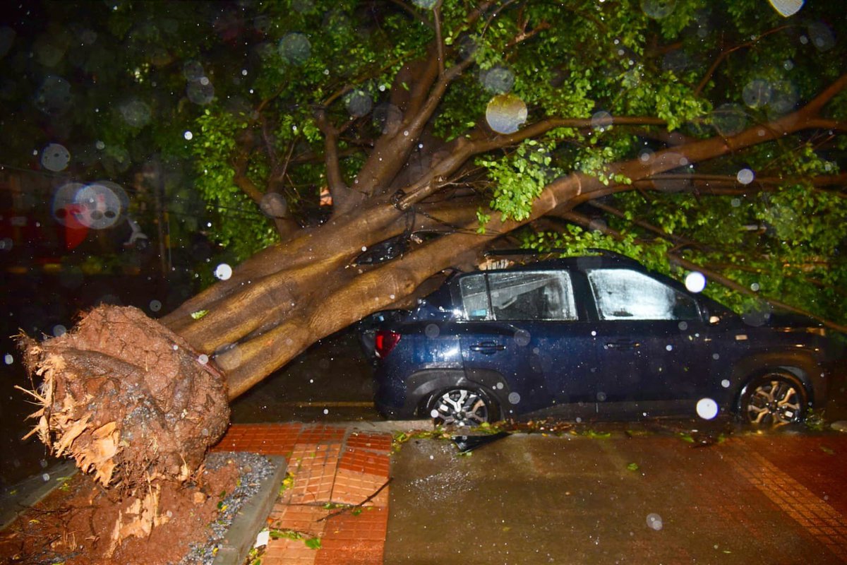 TOI Bengaluru tweet media