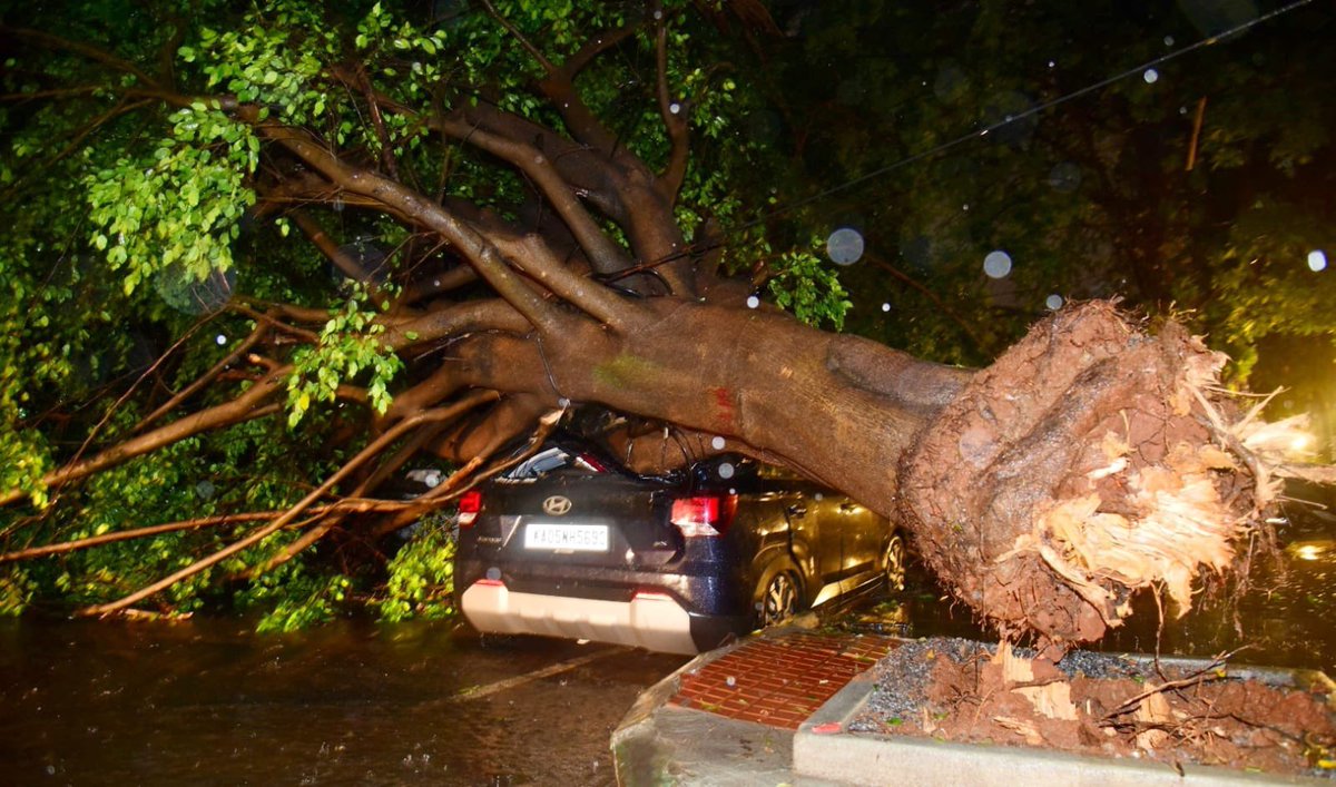 TOI Bengaluru tweet media