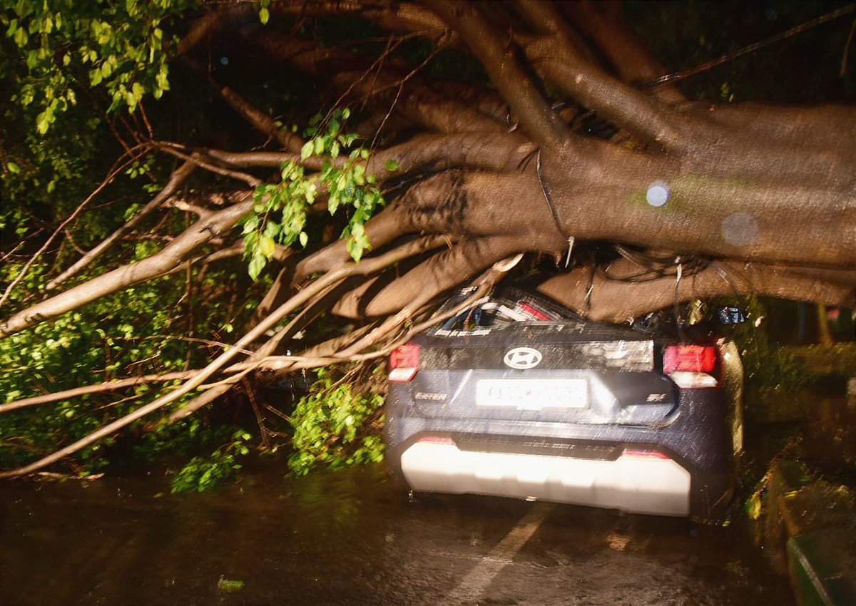 TOI Bengaluru tweet media
