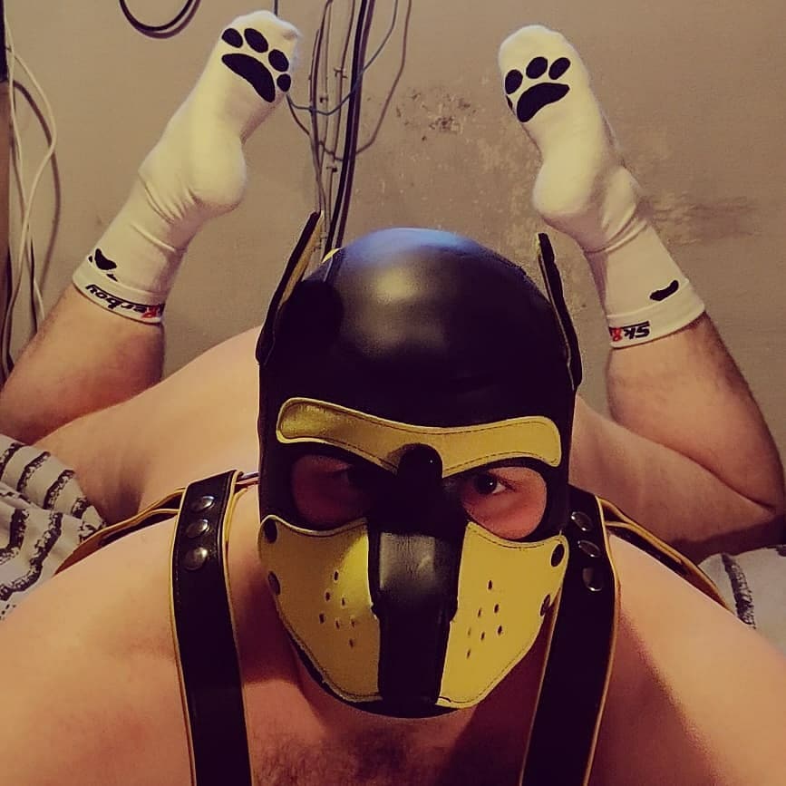 pup_kink's tweet photo. A little throw back to when I was showing off my sock toe beans... Unfortunately these are now full of holes... Any feet pups want to get their noses in them? https://t.co/NLjIdYnY76
