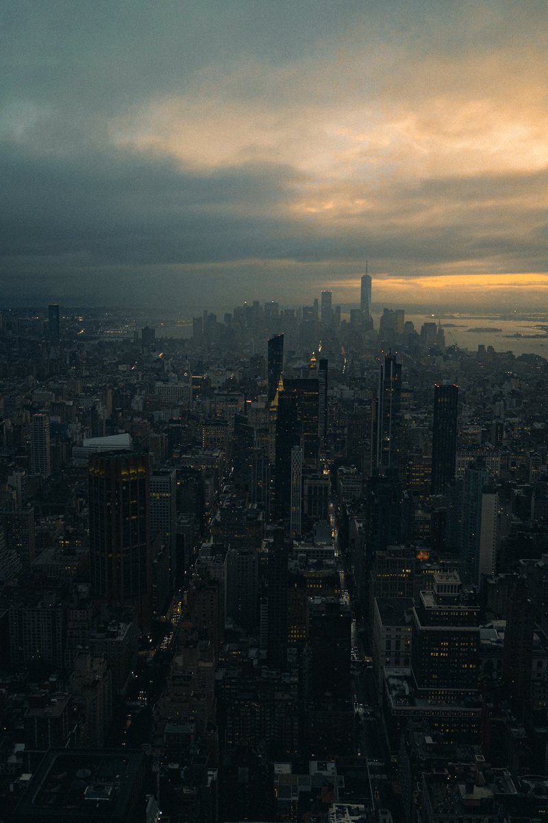 Raylivez tweet media