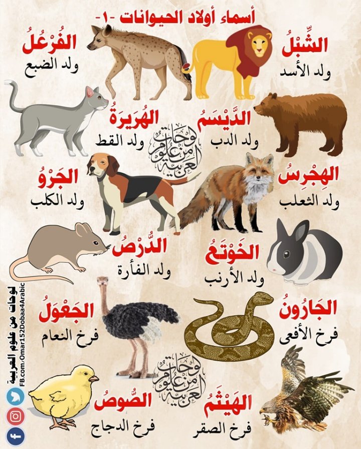 HaithamAlwazir's tweet photo. https://t.co/kdomU1IzZt