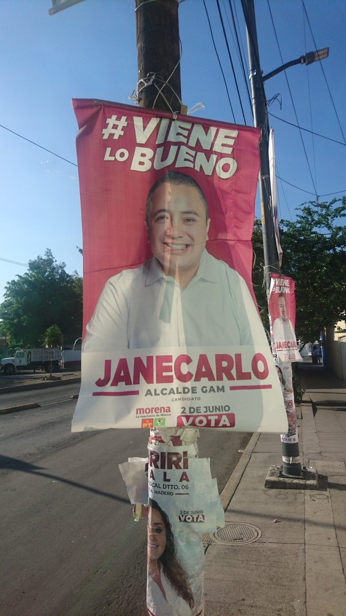 Gallo Zuñiga 🐔 tweet media