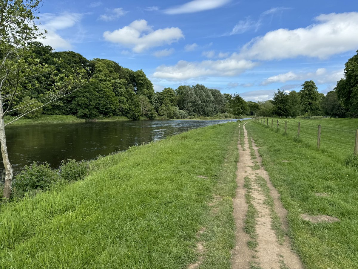 Finally used to the physical nature of my job, I can now go for a long walk without worrying about being knackered first work. Regular photos incoming. #feelgreat