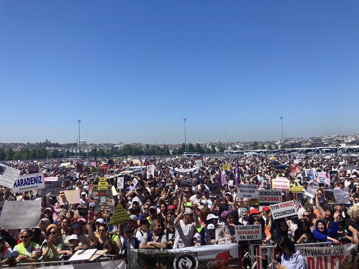 bot ya da troll değil gerçek halk 
#SokaktayımYanındayım diyor