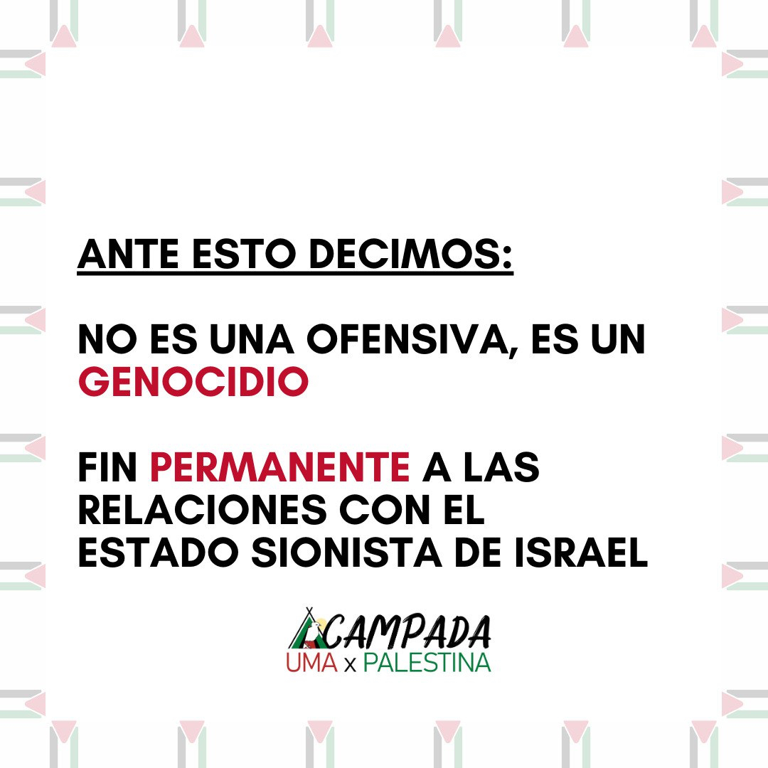 Acampada Málaga x Palestina tweet media
