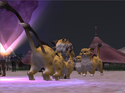 nyaaaBoss tweet media