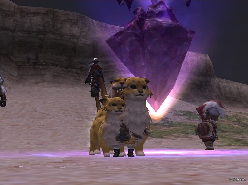 nyaaaBoss tweet media