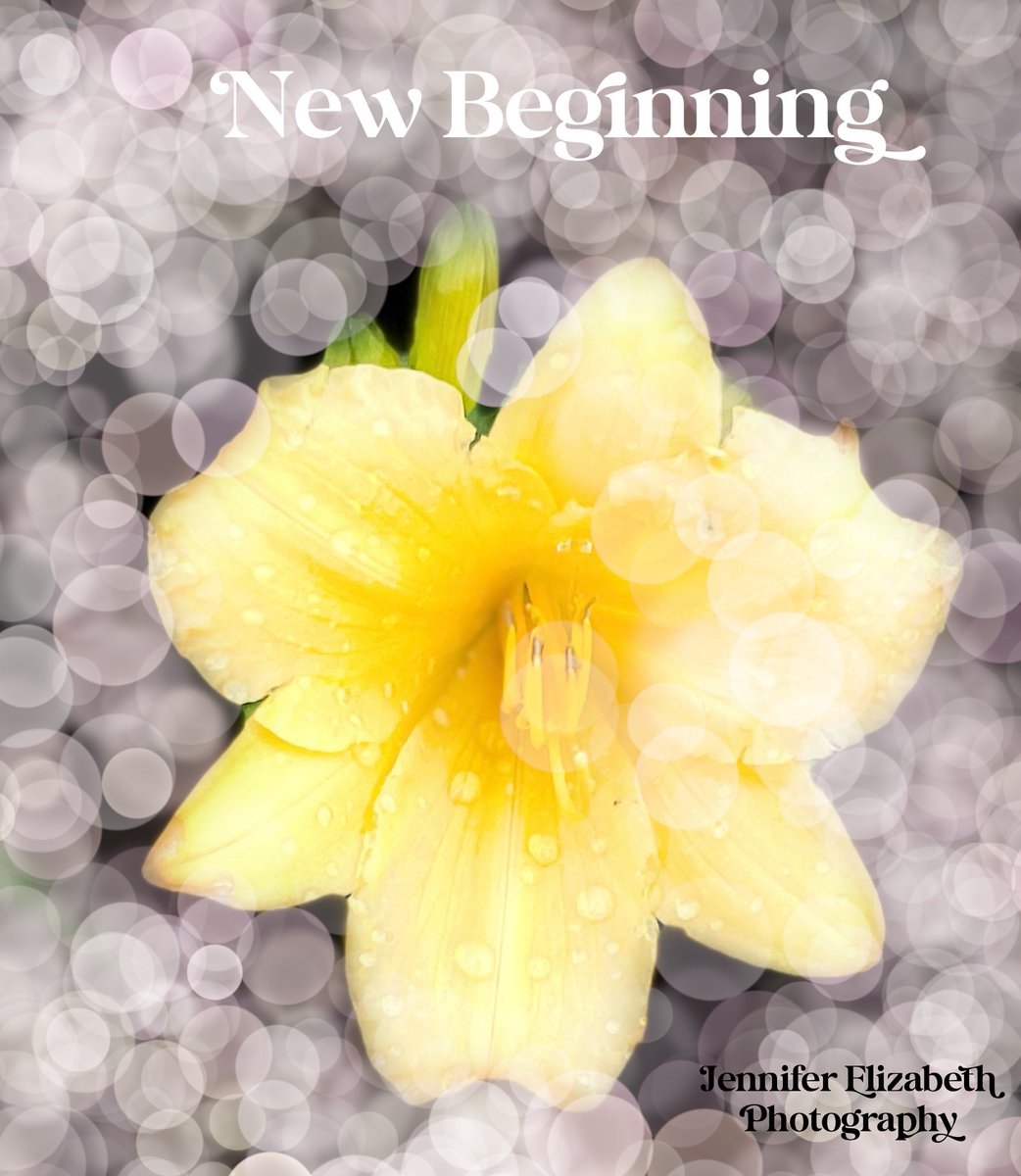 MsBookNerd23's tweet photo. My journey with Bipolar started in 2018.  This recent time is another New Beginning to look at things in a different way.  I love the saying “Stand tall like a Sunflower”. That is exactly what I have been doing while going through new things and being brave. https://t.co/tKZGPB8t4U