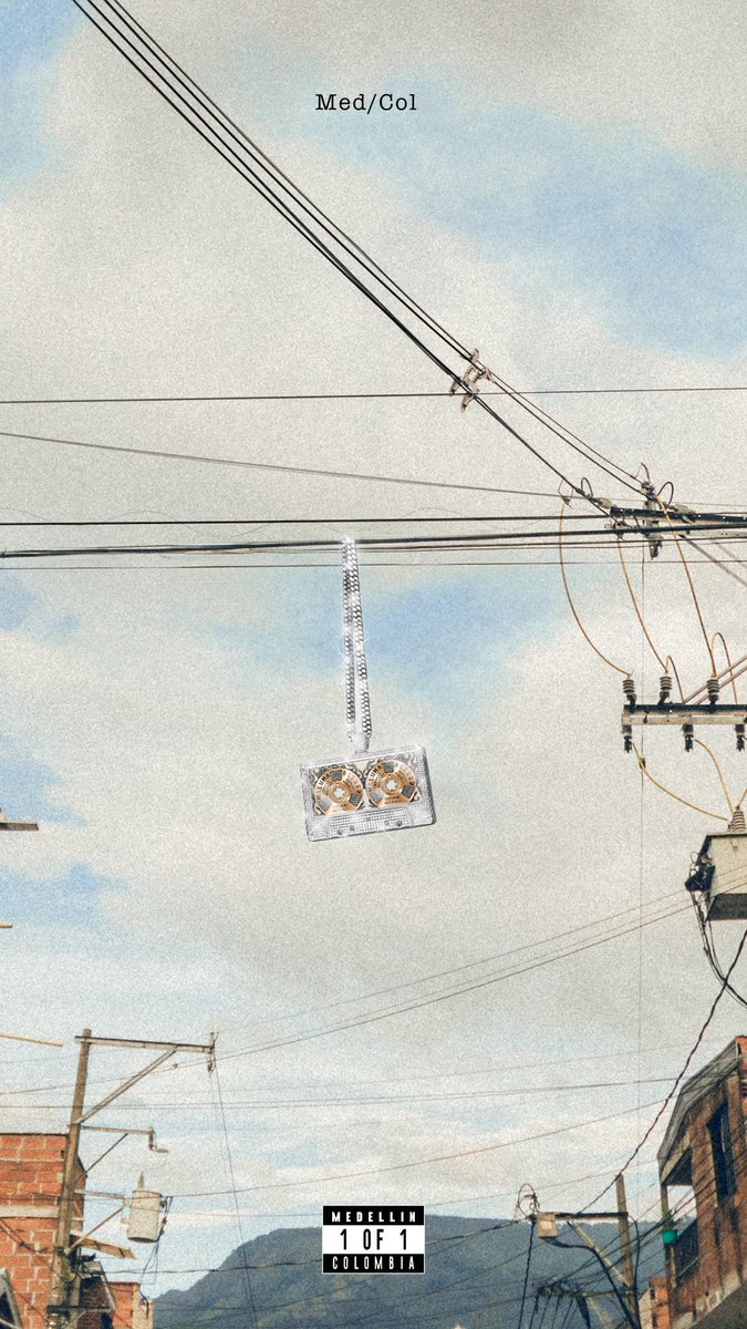 ChaN El GeNio tweet media