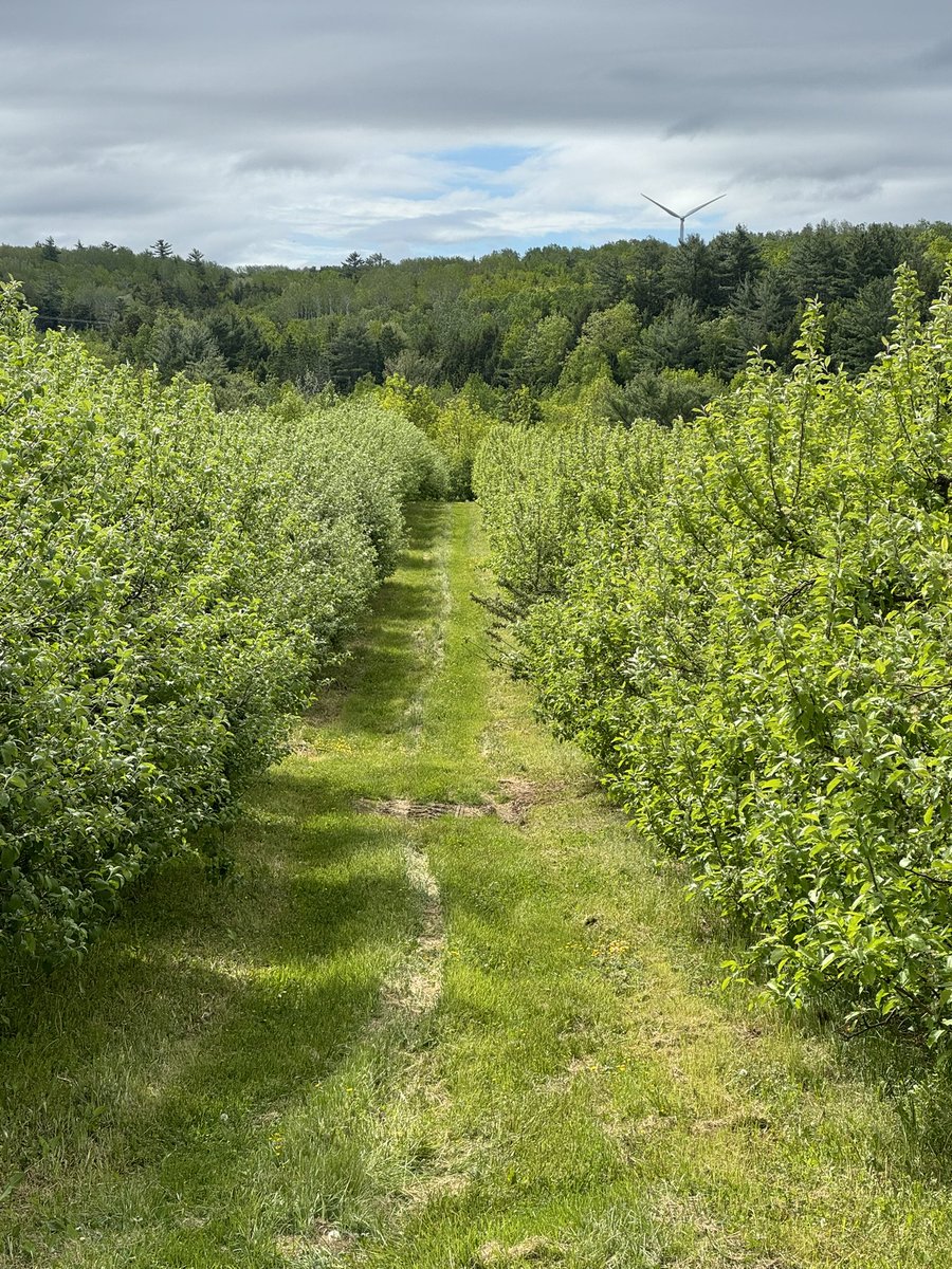 CASmith83's tweet image. Something about these pretty views around Hants County that help the kilometres pass a little easier 

#novascotia