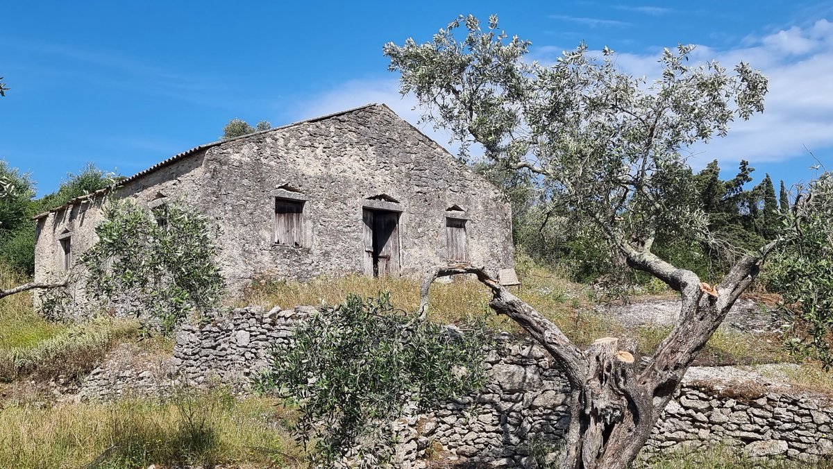 WibCar's tweet image. First time in #Corfu and loving it. From ancient houses to majestic fortresses and culinary treats (kumquat anyone?!): #greece never disappoints! #5thtime