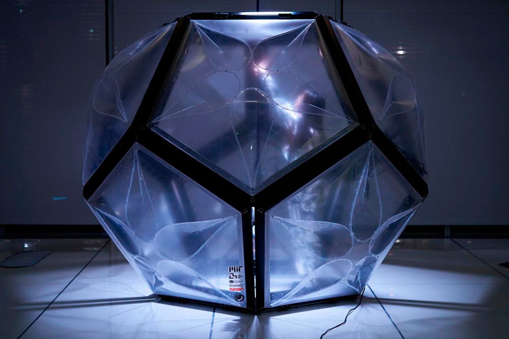 designboom tweet media