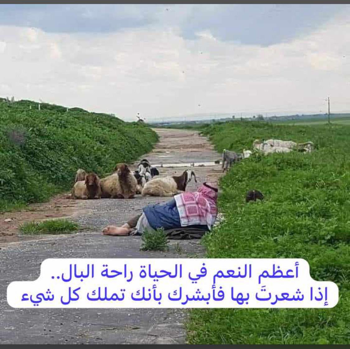 علي بن سعد tweet media