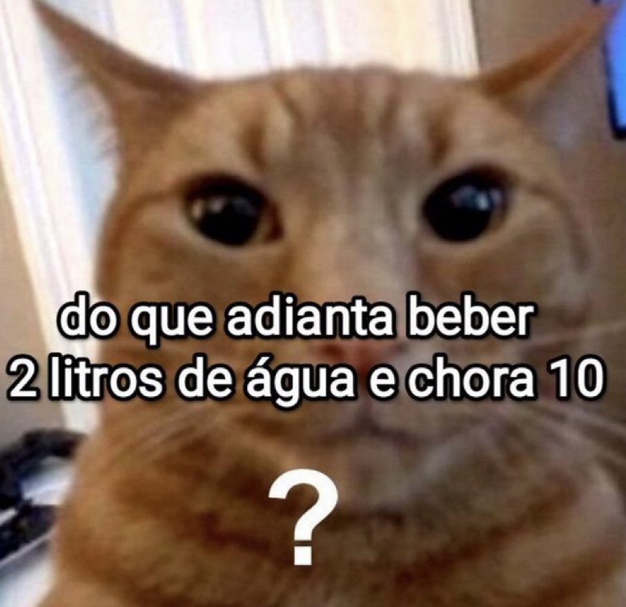 memes da vida (@memesdasuavida) on Twitter photo 