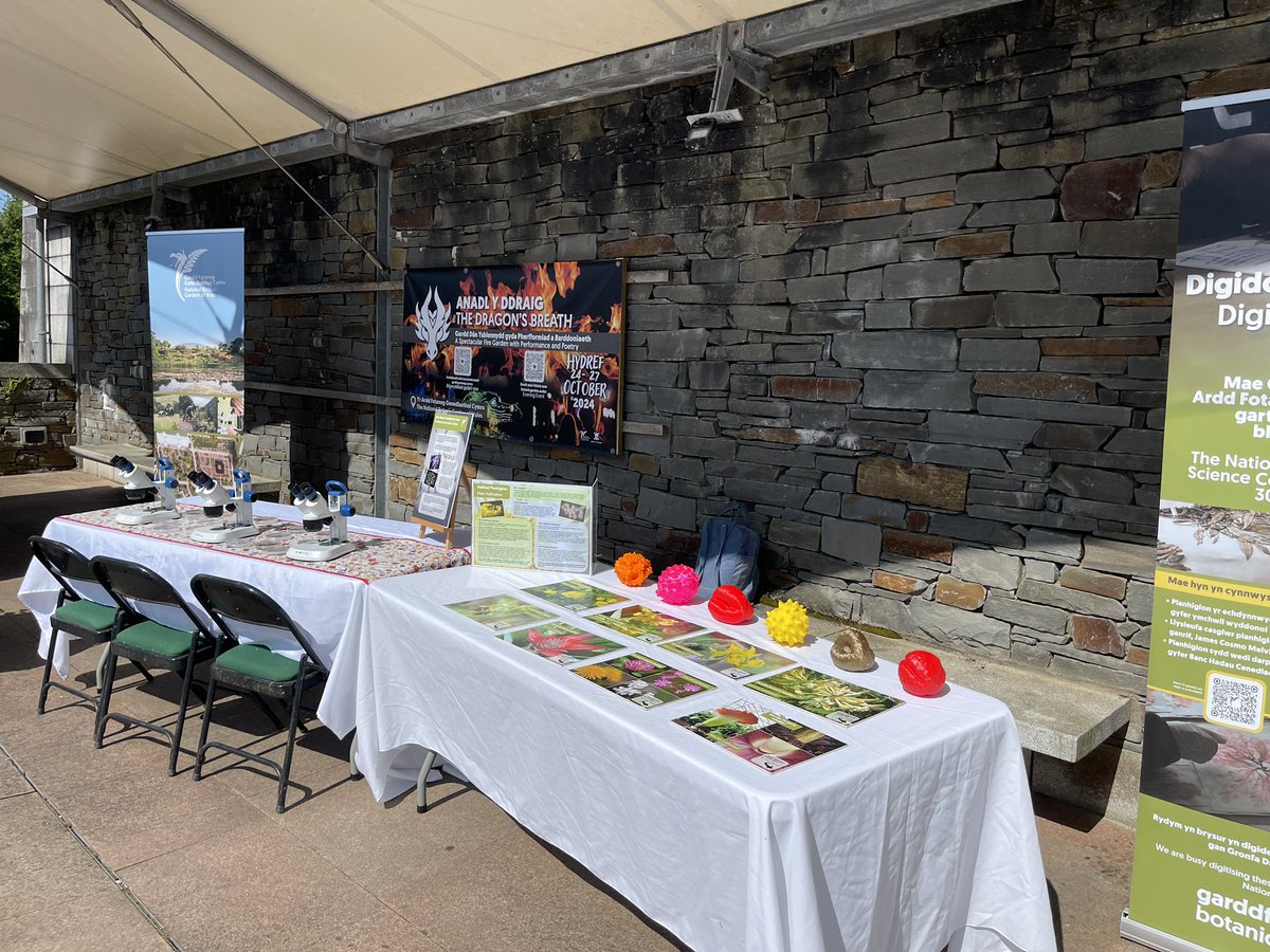 ellynb_ecology's tweet photo. Pollinator Festival @walesbotanic today, celebrating plants and pollinators! https://t.co/ZEM4hZsVPb