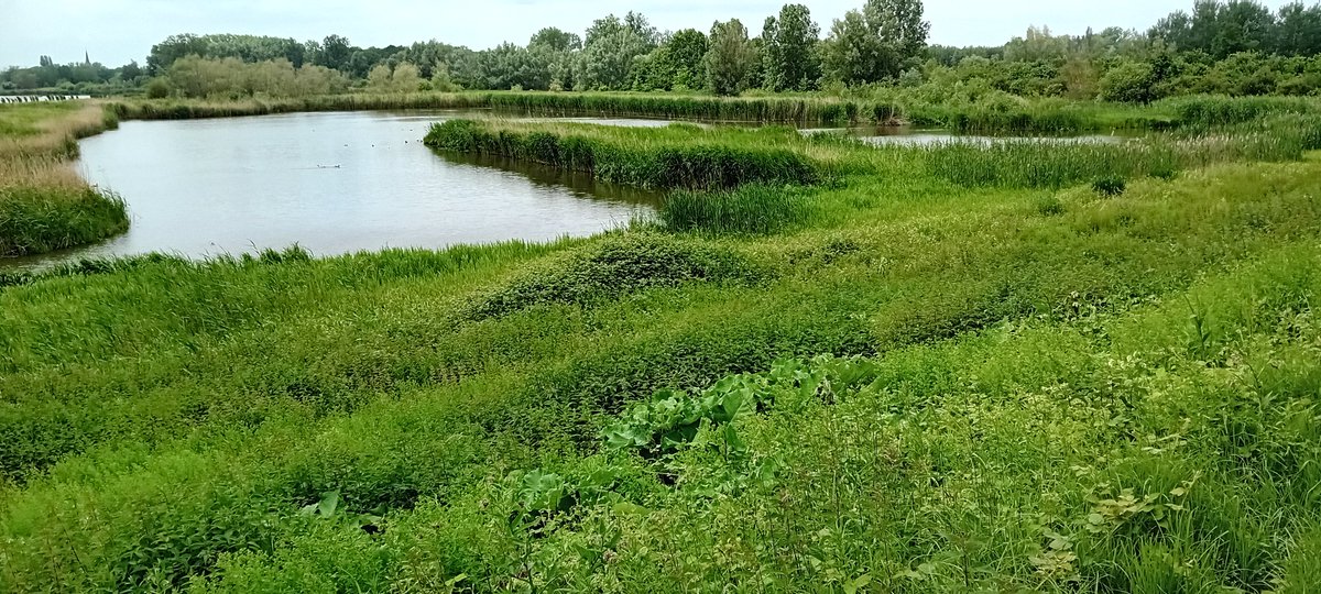 alaindg69's tweet photo. Berlare
#weerfotos #natuurfotos #natuurfotografie #berlare #wandelen #vrtweer https://t.co/dmsRl55srr