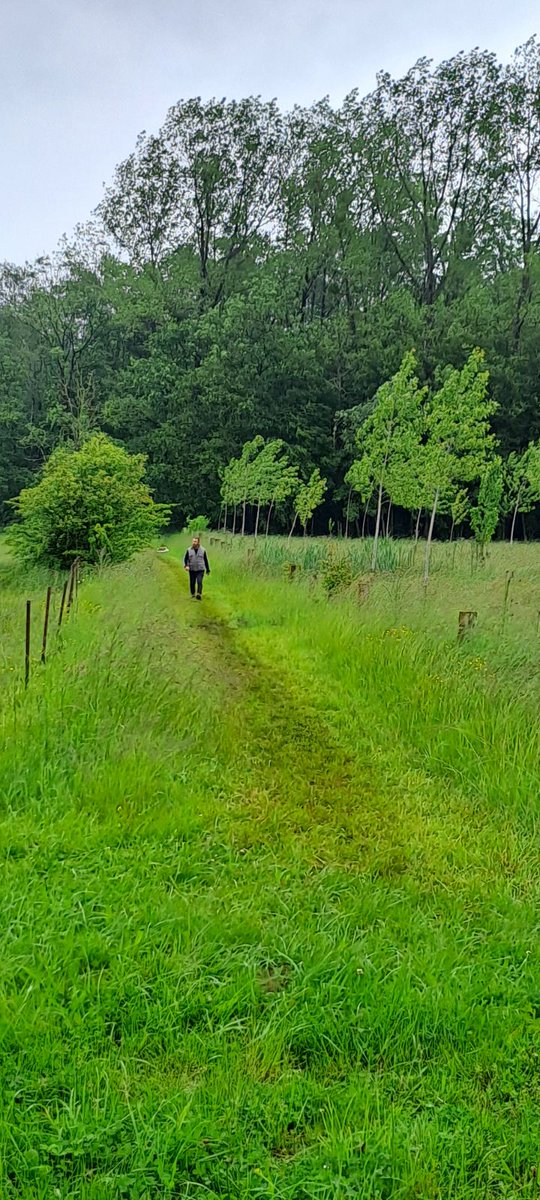 GroupamaFd08's tweet photo. Une belle réussite pour cette balade solidaire  #fondationsante de @GroupamaNordEst à Saint Jean aux Bois (08). Merci aux élus bénévoles, à la commune et aux 165 marcheurs qui ont bravé une météo approximative et donné un peu d'eux même au profit de l'association @ARSLA75. https://t.co/ggRea9uKK5