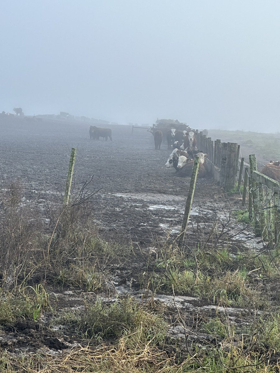 Mayo2024  inolvidable 
540 mm en un mes
Cosecha de soja muy difícil siempre alta humedad y el Encierre de ganado muy complicado el barro 
Embolsar sorgo grano húmedo también difícil
Y bueno es la imdustria a cielo abierto A no quejarse