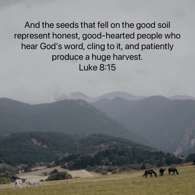 GM! We have to hear God’s word, read God’s word, listen to it, then apply it to our lives and do so daily for it to take root into our hearts to bring forth fruit that changes our thinking, speaking and actions and leads to producing great impact and progress in our lives!