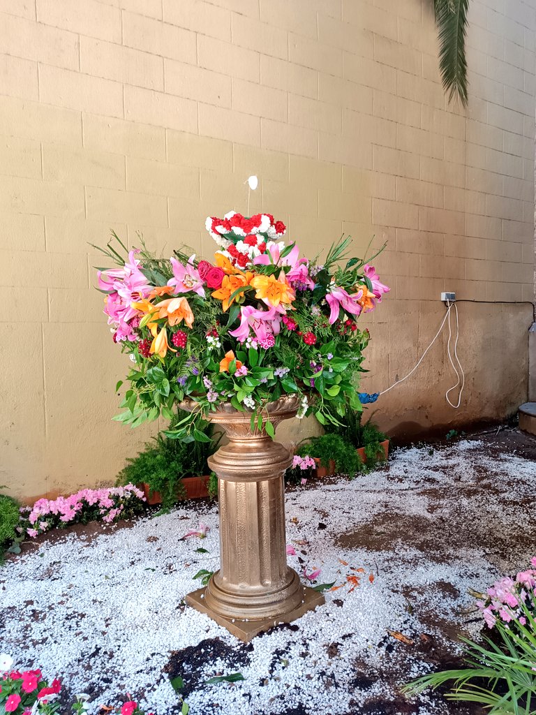 victorranera's tweet photo. Una catifa de flors i l'ou com balla: el Corpus a #Hostafrancs https://t.co/6oQLN2vtLE