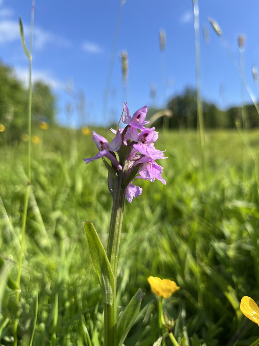 Emma Lusby tweet media