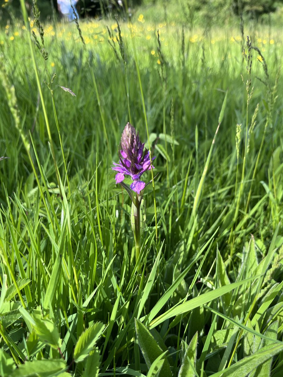 Emma Lusby tweet media