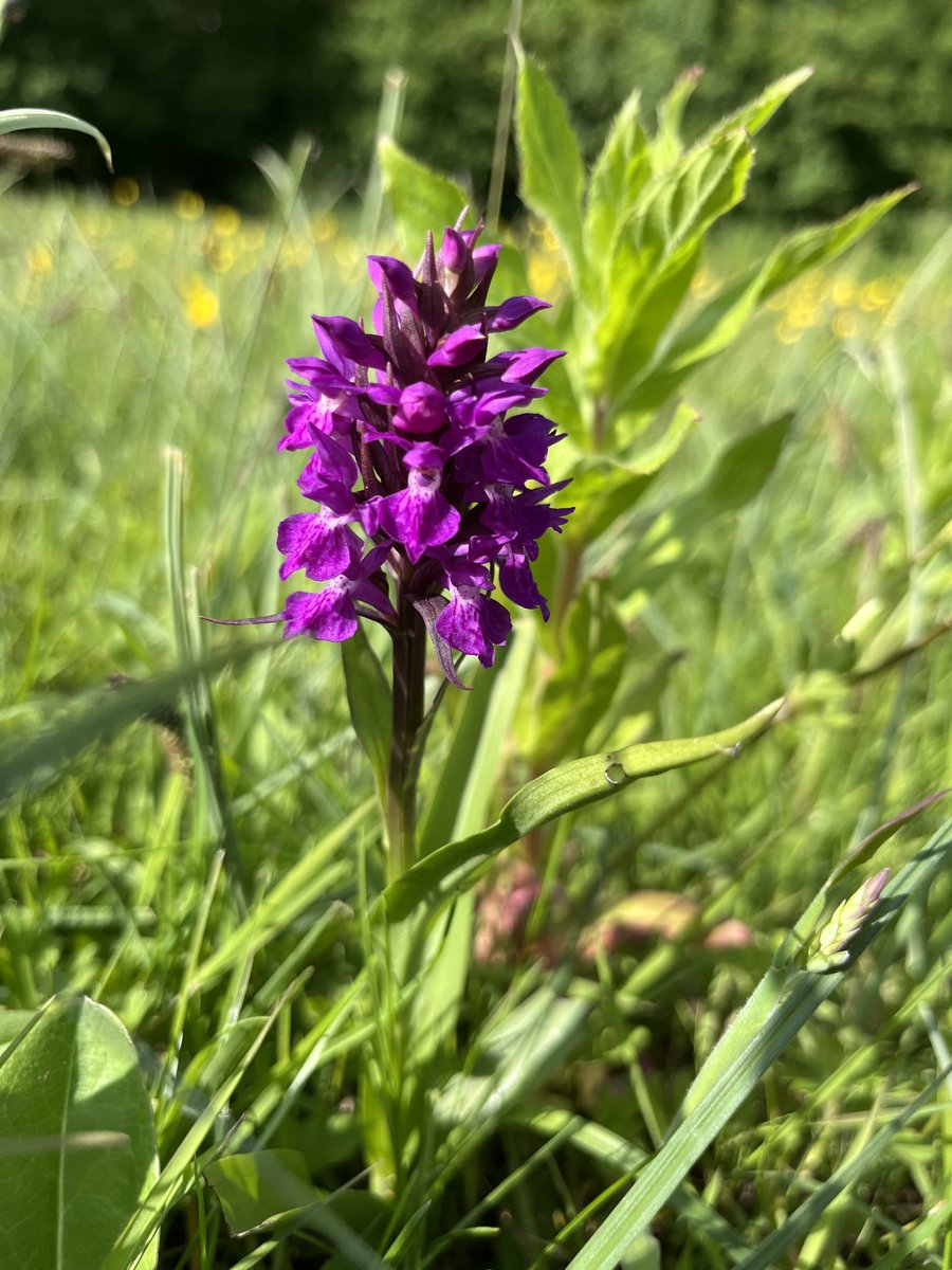 Emma Lusby tweet media