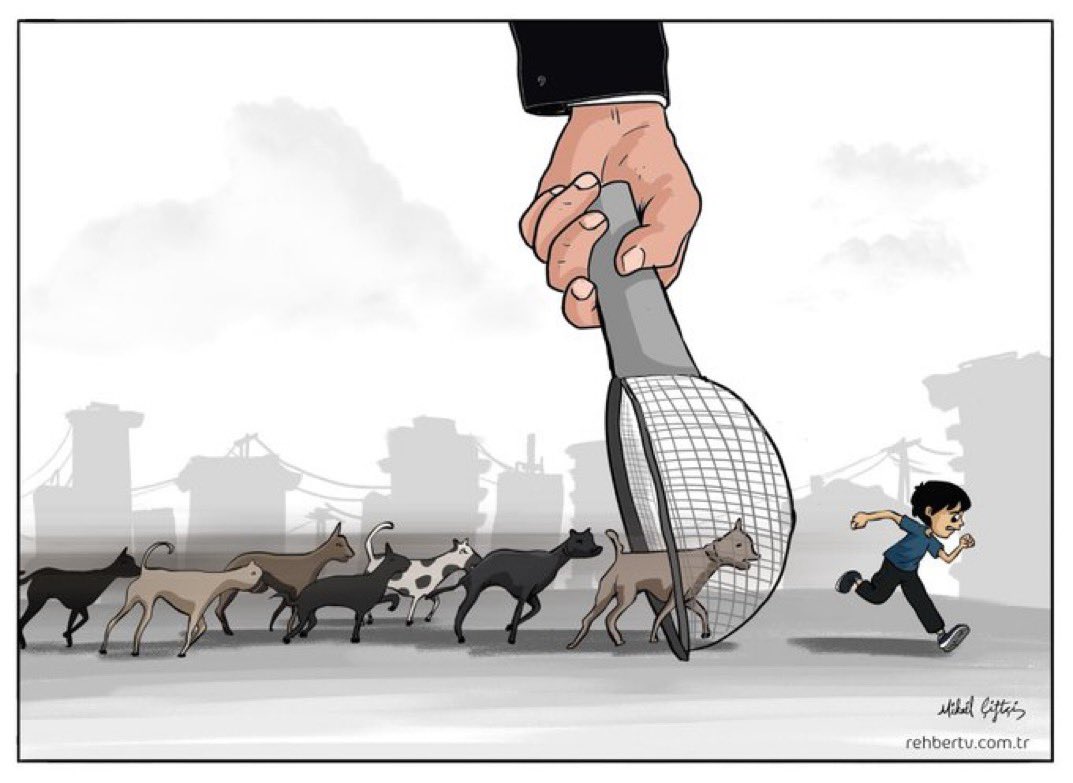 . #SıfırBaşıboşKöpek hashtag’ine katilim rica ediyorum
❤️