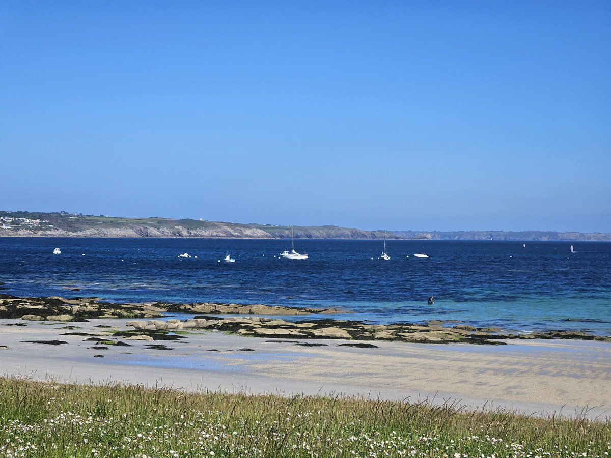 Olivier SCHNEIDER tweet media