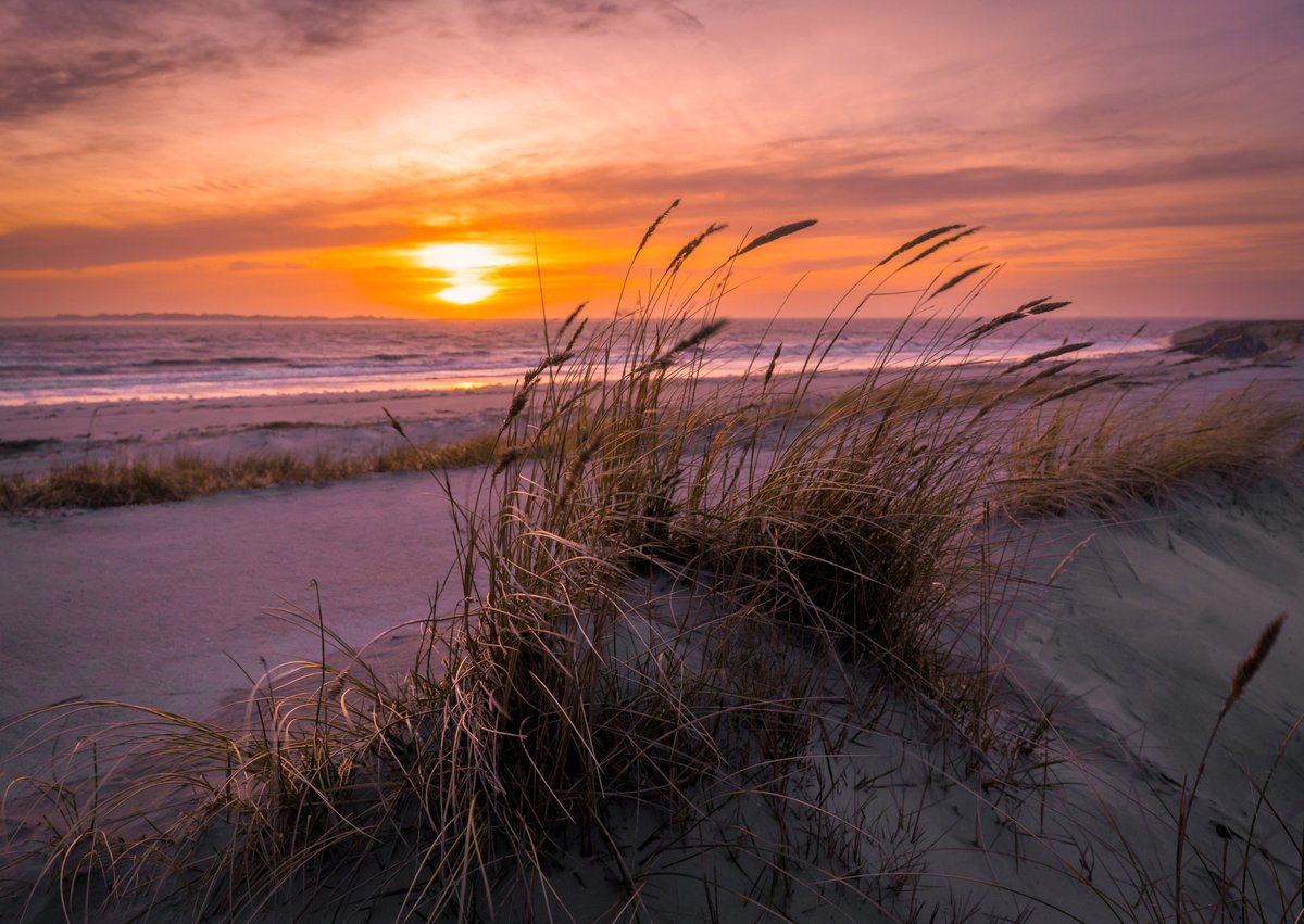 Heimatgefühle auf Norderney ❤️
