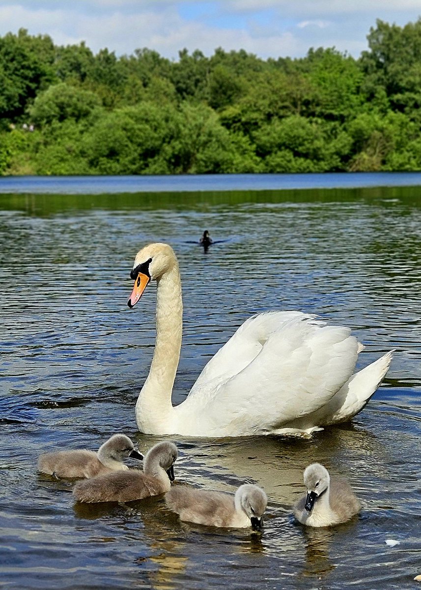 Andrew McCreaddie tweet media