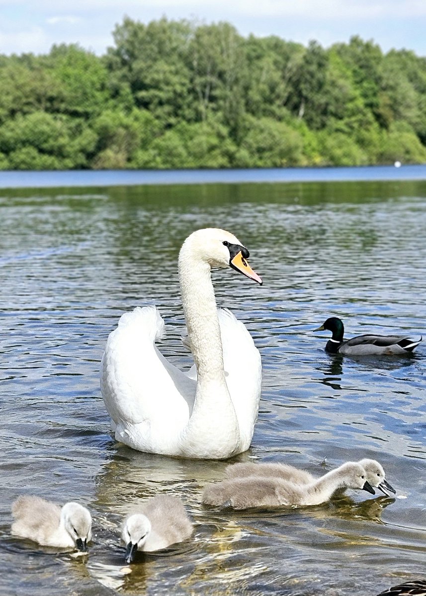 Andrew McCreaddie tweet media