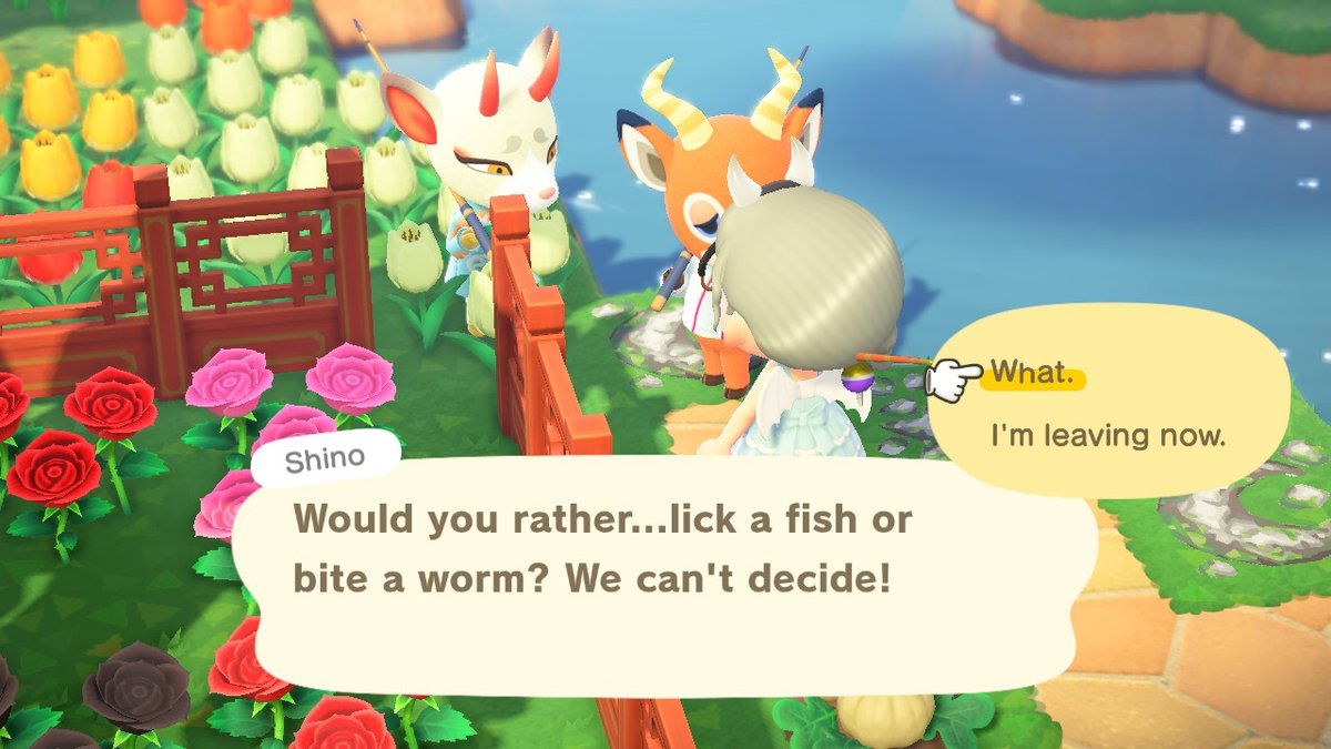 Diamond_Fox91's tweet photo. I'm sorry... what? #AnimalCrossing #ACNH #NintendoSwitch https://t.co/7TRZe3Qbnt