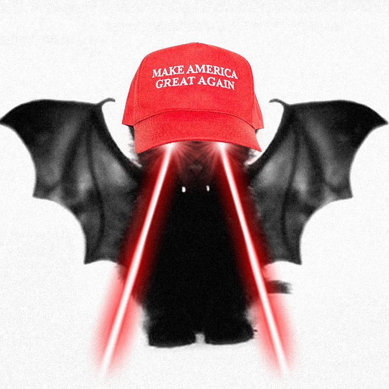 THE VAMP CAT 🦇 tweet media