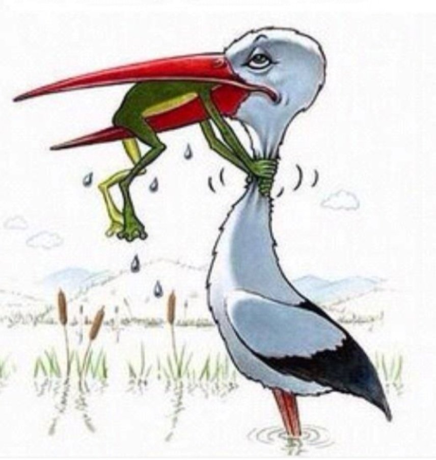 Glenn Brunton tweet media