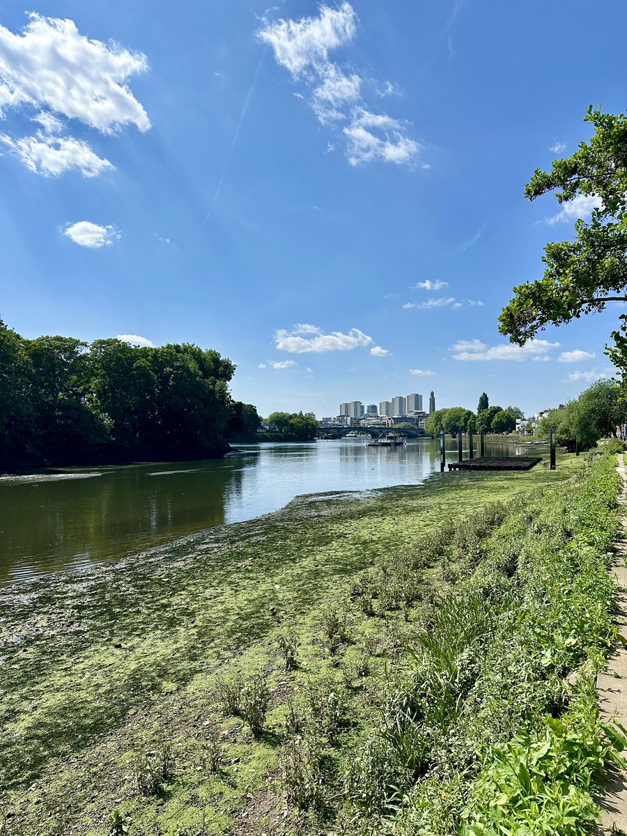 Paul Modley tweet media